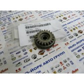 ASM-IDLE GEAR OTLAW/SPMN 1